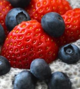 fruits